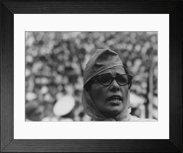 Framed Print : Actress Lena Horne at the 1963 Civil Rights March on Washington. Aug. 28, 1963