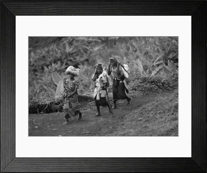 Framed Print : CONGO, Democratic Republic of the. NORTH KIVU. Democratic Republic of the Congo (2008). Kivu Conflict. Front of Sake Framed Print : CONGO, Democratic Republic of the. NORTH KIVU. Democratic Republic of the Congo (2008). Kivu Conflict. Front of Sake