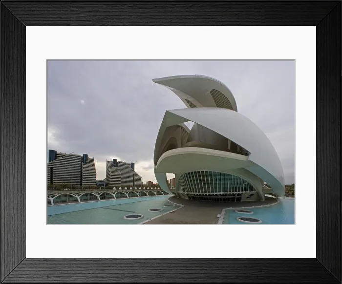 Framed Print : CALATRAVA, Santiago (1951). Reina Sofia Palace of Arts. 2005. SPAIN. Valencia. City of Arts and Sciences. AISA / Everett Collection - Image has fine art copyright