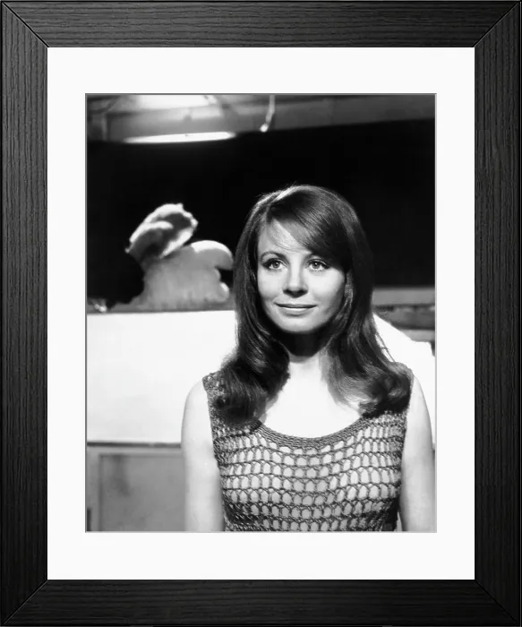 Framed Print : BLOWUP, (aka BLOW UP, aka BLOW-UP), Sarah Miles, 1966