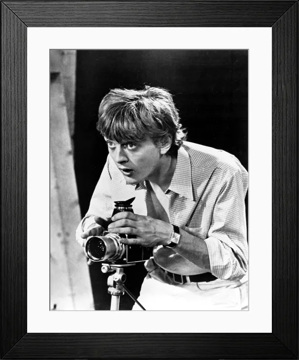 Framed Print : BLOWUP, (aka BLOW UP, aka BLOW-UP), David Hemmings, 1966