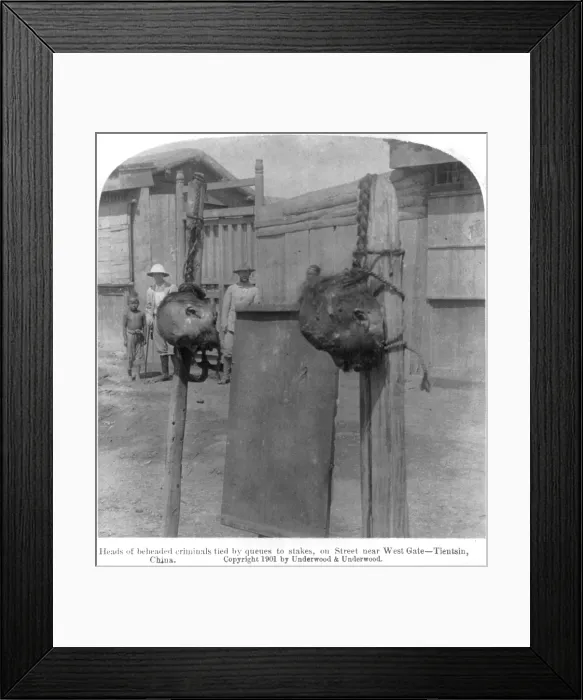 Framed Print : Boxer Rebellion, heads of beheaded criminals tied by queues to stakes on street near West Gate, Tientsin, China, August 21, 1901