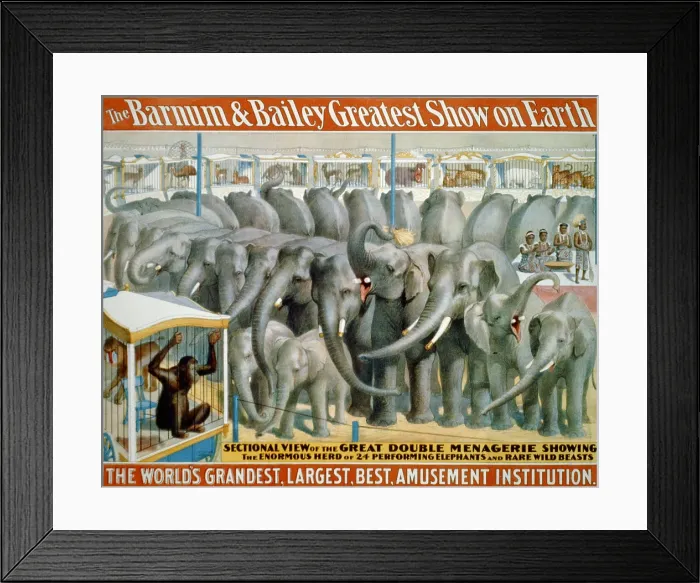 Framed Print : Poster for Barnum and Bailey circus showing performing elephants and animals in cages