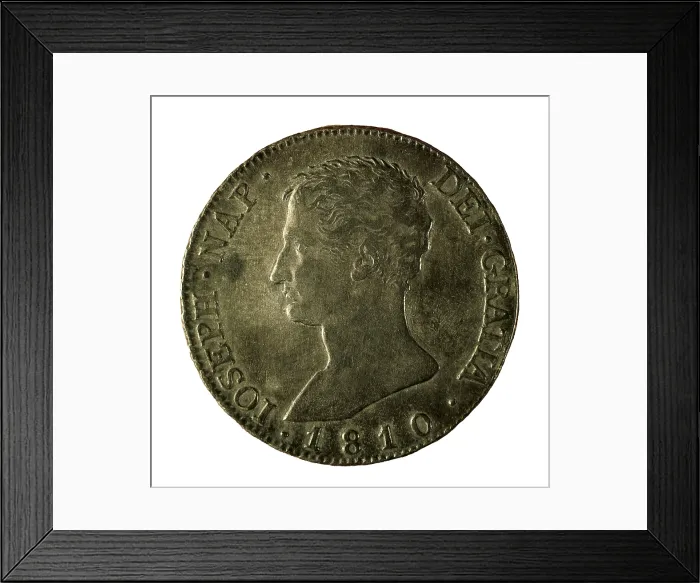 Framed Print : 20 reales coin. Obverse with portrait of the king Jos Bonaparte (Madrid, 1810). Coin. SPAIN. Barcelona. Numismatic Cabinet of Catalonia. AISA / Everett Collection**US SALES ONLY**