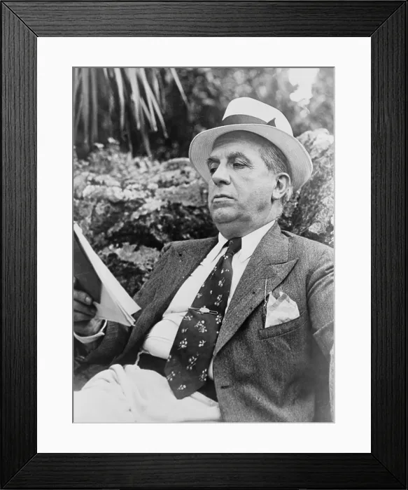 Framed Print : Charles Ponzi (1882-1949), namesake of the Ponzi scheme, was imprisoned for running a fraudulent pyramid investing scheme in Boston in the 1920s Framed Print : Charles Ponzi (1882-1949), namesake of the Ponzi scheme, was imprisoned for running a fraudulent pyramid investing scheme in Boston in the 1920s