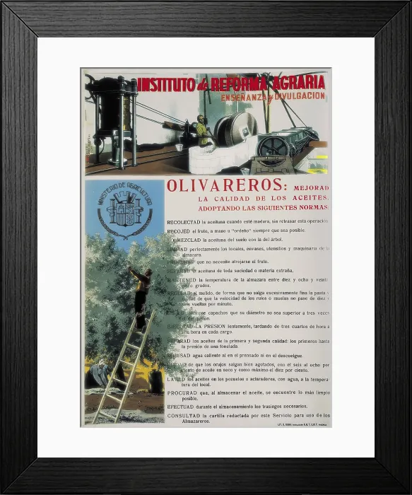 Framed Print : Spanish Civil War (1936-1939). Poster of the Institute of the Agrarian Reform on the farming on olives. SPAIN. Salamanca. Archivo Histrico Nacional Framed Print : Spanish Civil War (1936-1939). Poster of the Institute of the Agrarian Reform on the farming on olives. SPAIN. Salamanca. Archivo Histrico Nacional
