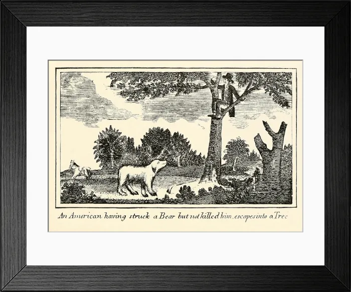 Framed Print : Illustration from Lewis and Clark's journal of the Corps of Discovery from 1803-6. American having struck a Bear but not killed him escapes into a tree