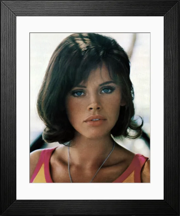 Framed Print : AFTER THE FOX, (aka CACCIA ALLA VOLPE), Britt Ekland, 1966 Framed Print : AFTER THE FOX, (aka CACCIA ALLA VOLPE), Britt Ekland, 1966