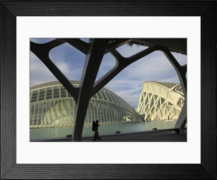 Framed Print : SPAIN. Valencia. City of Arts and Sciences. L'Hemisfric (left, 1998) and the Prince Felipe Science Museum (2000), buildings by Santiago Calatrava Framed Print : SPAIN. Valencia. City of Arts and Sciences. L'Hemisfric (left, 1998) and the Prince Felipe Science Museum (2000), buildings by Santiago Calatrava