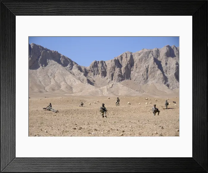 Framed Print : U.S. Soldiers take a security halt during a patrol off Highway 1 in Zabul province Afghanistan Oct. 18 2010. Photo by:Everett Collection(BSLOC_2011_6_63)