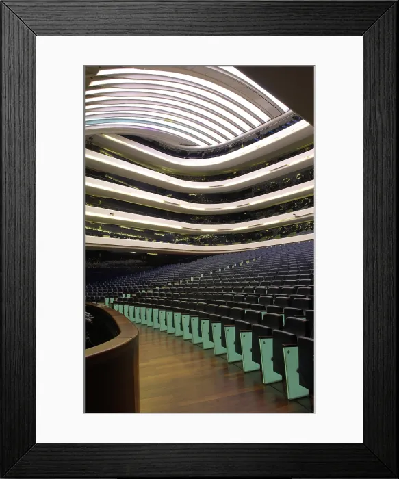 Framed Print : CALATRAVA, Santiago (1951). Reina Sofia Palace of Arts. 2005. SPAIN. Valencia. City of Arts and Sciences. Auditorium. AISA / Everett Collection - Image has fine art copyright Framed Print : CALATRAVA, Santiago (1951). Reina Sofia Palace of Arts. 2005. SPAIN. Valencia. City of Arts and Sciences. Auditorium. AISA / Everett Collection - Image has fine art copyright