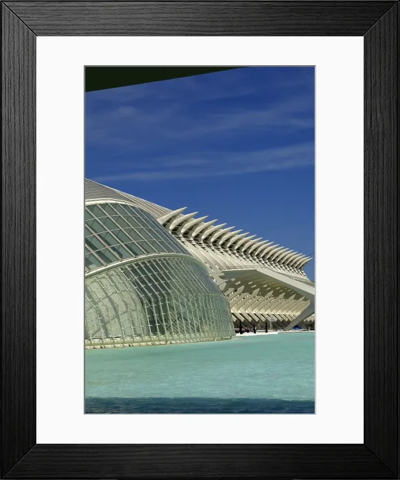 Framed Print : SPAIN. Valencia. City of Arts and Sciences. L'Hemisfric (foreground, 1998) and the Prince Felipe Science Museum (2000), buildings by Santiago Calatrava Framed Print : SPAIN. Valencia. City of Arts and Sciences. L'Hemisfric (foreground, 1998) and the Prince Felipe Science Museum (2000), buildings by Santiago Calatrava