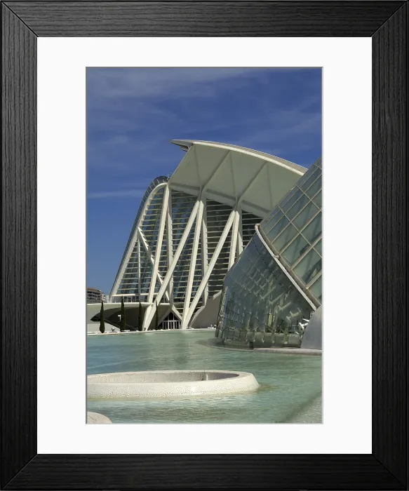 Framed Print : SPAIN. Valencia. City of Arts and Sciences. L'Hemisfric (foreground, 1998) and the Prince Felipe Science Museum (2000), buildings by Santiago Calatrava