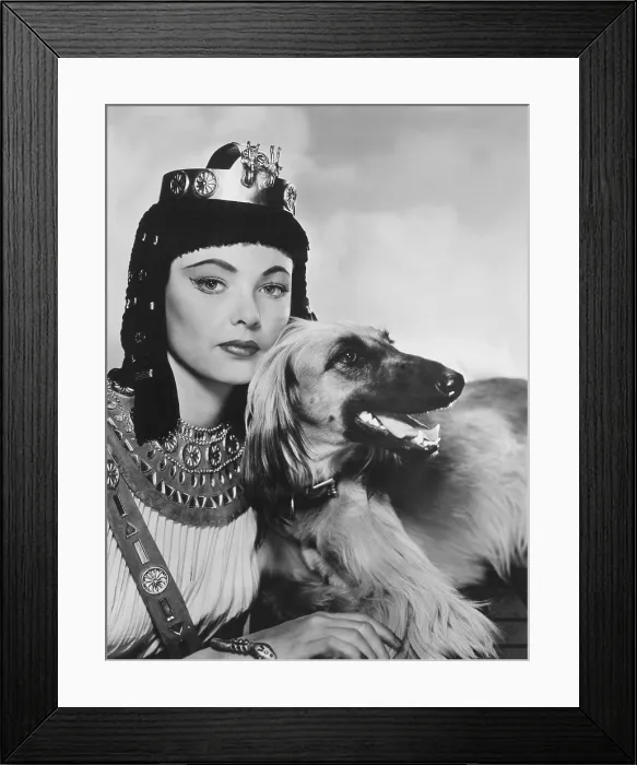 Framed Print : THE EGYPTIAN, Gene Tierney, 1954, TM & Copyright 20th Century Fox Film Corp. / courtesy Everett Collection