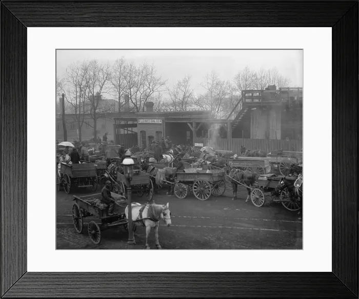 Framed Print : African American teamsters line up with their wagons at the Washington, D.C. coal yard in 1922 to load coal for home heating