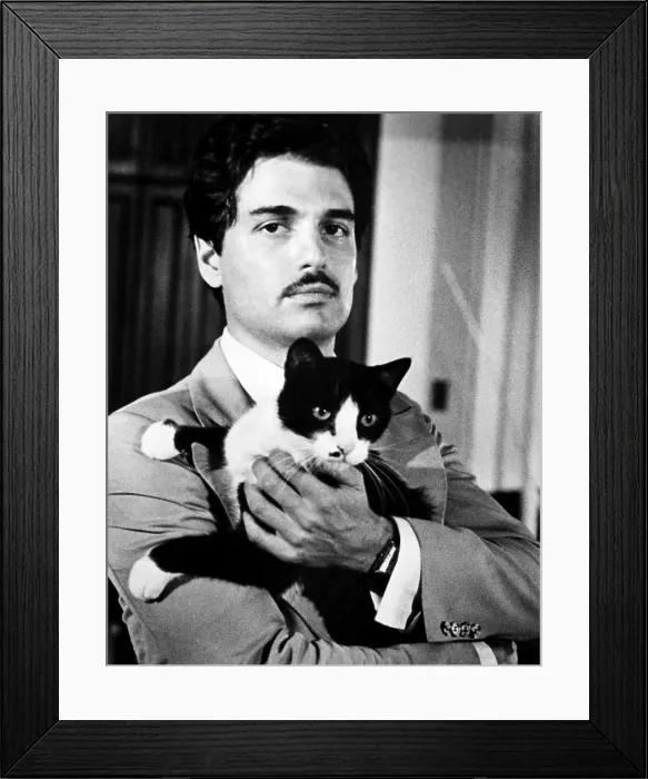 Framed Print : THE SENTINEL, Chris Sarandon, 1977, Universal / courtesy Everett Collection Framed Print : THE SENTINEL, Chris Sarandon, 1977, Universal / courtesy Everett Collection