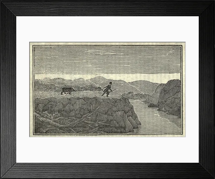 Framed Print : Illustration of Lewis and Clark's expedition from 1803-6. Man chased by a bear