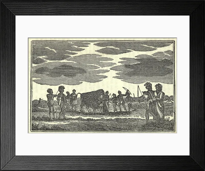 Framed Print : Illustration from Lewis and Clark's journal of the expedition from 1803-6. Native Americans and a Buffalo