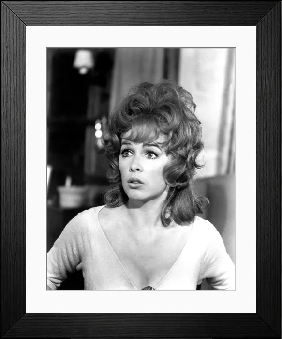 Framed Print : THE SECRET OF MY SUCCESS, Stella Stevens, 1965