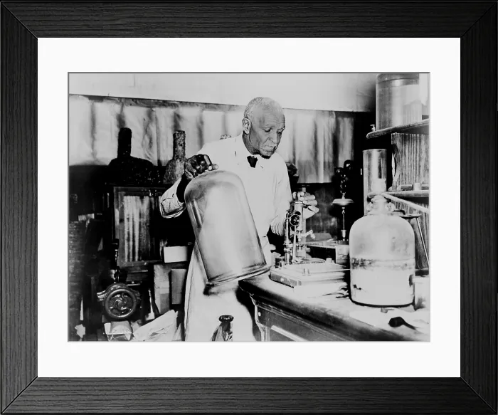 Framed Print : George Washington Carver (1864-1943) an agricultural chemist developed new products of peanuts, sweet potatoes, and soybeans to encourage crop diversity in the American South Framed Print : George Washington Carver (1864-1943) an agricultural chemist developed new products of peanuts, sweet potatoes, and soybeans to encourage crop diversity in the American South