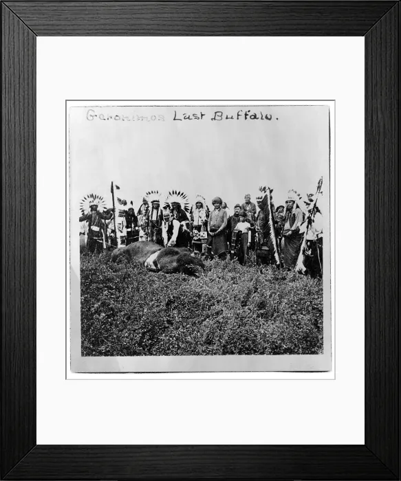 Framed Print : Geronimo's last buffalo. Geronimo standing over dead buffalo, with Native men and boys in ceremonial dress standing behind him, Fort Sill, Oklahoma. c1906
