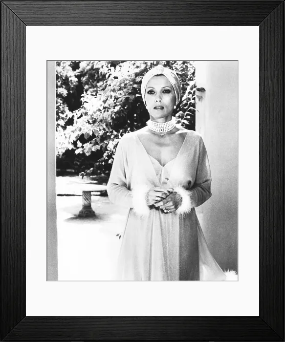 Framed Print : SILVER BEARS, Stephane Audran, 1978, Columbia / courtesy Everett Collection Framed Print : SILVER BEARS, Stephane Audran, 1978, Columbia / courtesy Everett Collection