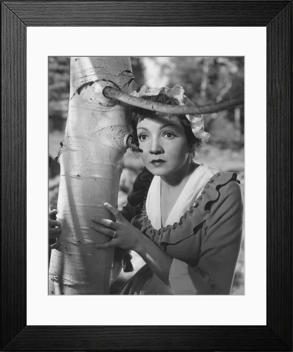 Framed Print : DRUMS ALONG THE MOHAWK, Claudette Colbert, 1939, TM & Copyright 20th Century Fox Film Corp. / courtesy Everett Collection Framed Print : DRUMS ALONG THE MOHAWK, Claudette Colbert, 1939, TM & Copyright 20th Century Fox Film Corp. / courtesy Everett Collection