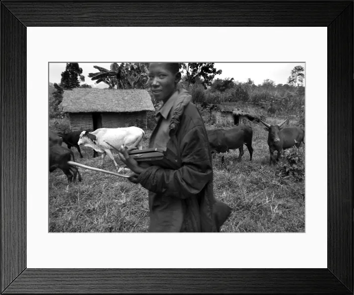 Framed Print : CONGO, Democratic Republic of the. NORTH KIVU. Democratic Republic of the Congo (2008). Kivu Conflict. Young Tutsi shepherd Mongosi. AISA / Everett Collection**US SALES ONLY**