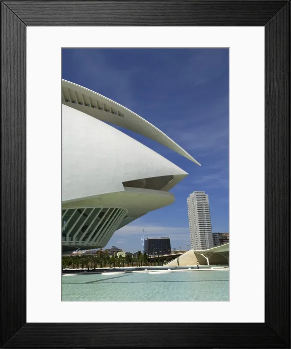Framed Print : CALATRAVA, Santiago (1951). Reina Sofia Palace of Arts. 2005. SPAIN. Valencia. City of Arts and Sciences. Palau de les Arts (Palace of the Arts) Framed Print : CALATRAVA, Santiago (1951). Reina Sofia Palace of Arts. 2005. SPAIN. Valencia. City of Arts and Sciences. Palau de les Arts (Palace of the Arts)