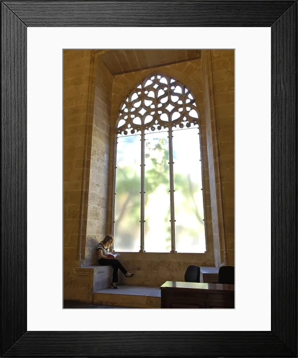Framed Print : Lonja de la Seda o Lonja de Mercaderes (Silk or Merchant's Exchange) of Valencia. 1482-1533. SPAIN. Valencia. Llotja (Guildhall). Large window. Gothic art. Architecture