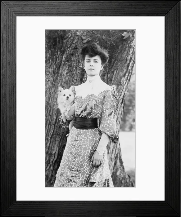 Framed Print : Alice Roosevelt (1884-1980), at the age of 18. 1902 portrait by Frances Benjamin Johnston