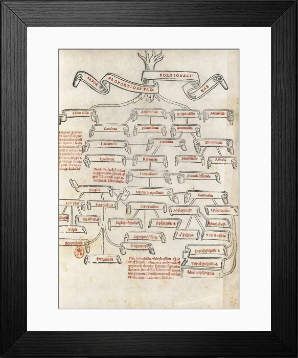 Framed Print : PACIOLILuca (1445-1510). Italian mathematician an clergyman. 'Divina Proporcione'. FRANCE. Paris. National Library. AISA / Everett Collection (19975)**US SALES ONLY** Framed Print : PACIOLILuca (1445-1510). Italian mathematician an clergyman. 'Divina Proporcione'. FRANCE. Paris. National Library. AISA / Everett Collection (19975)**US SALES ONLY**