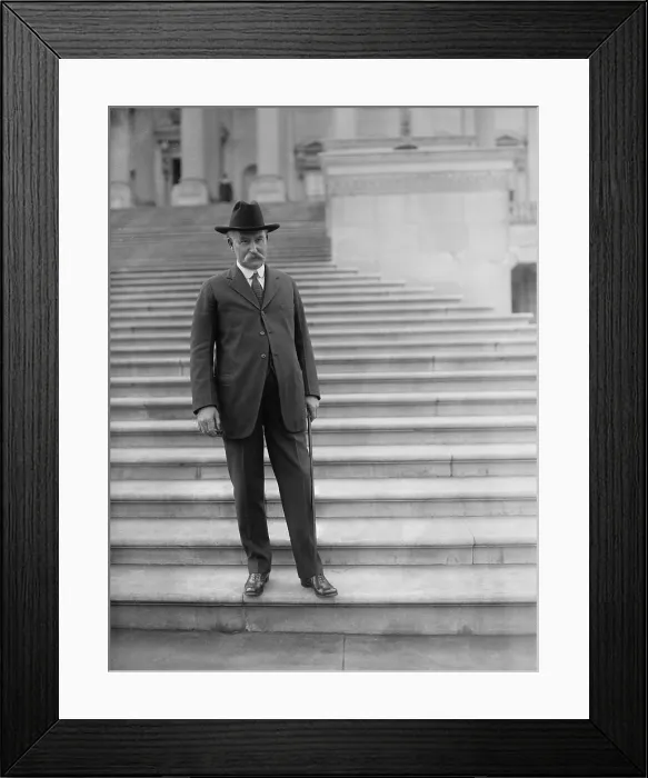 Framed Print : Albert B. Fall (1861-1944), posing on the Capitol steps after news broke that he was Harding's choice for Secretary of the Interior. Feb. 3, 1921