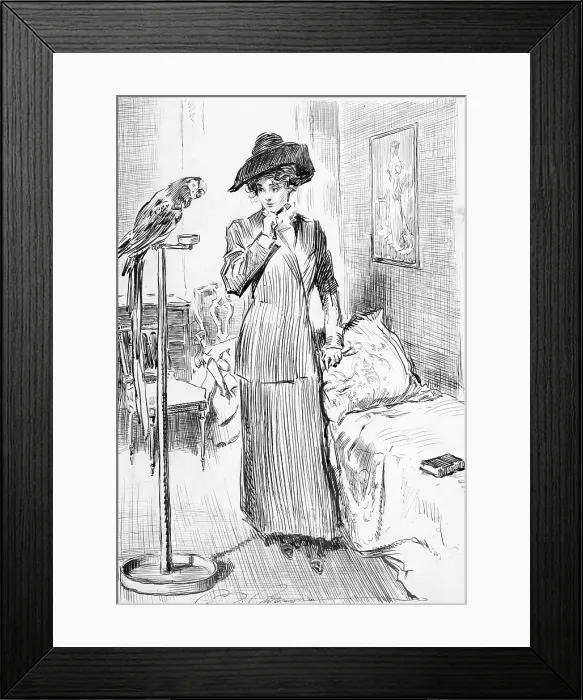 Framed Print : 1911 drawing by Charles Dana Gibson (1867-1944), illustrates a scene of a Gibson Girl and a parrot