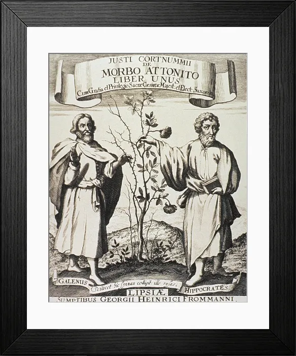 Framed Print : Hippocrates (on right) and Galen. Where Hippocrates touches the rosebush it flowers, whereas Galen's side is nothing but thorns