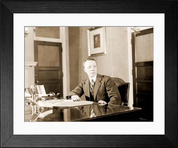 Framed Print : Theodore Roosevelt Jr. as Assistant Secretary of the Navy in 1921. His political career, tainted by the Teapot Dome scandal, failed