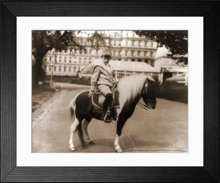 Framed Print : Archie Roosevelt (1894-1979), the fourth child of president Theodore Roosevelt and his second wife, Edith, on a pony, Algonquin. 1902 photo by Frances Benjamin Johnston