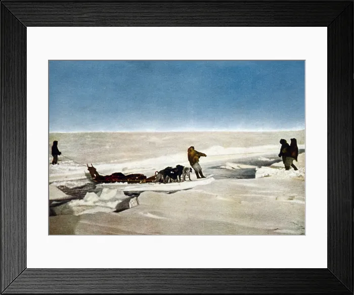 Framed Print : Robert Peary's successful North Pole Expedition traveling over frozen polar landscape. Men and dog sled are crossing water on an ice floe, 1909