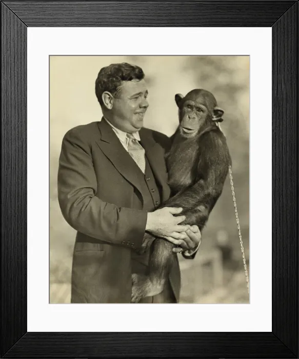 Framed Print : Babe Ruth (1895-1948), holding Mike, a chimpanzee at the St. Louis Zoological Park. Oct. 10, 1928 Framed Print : Babe Ruth (1895-1948), holding Mike, a chimpanzee at the St. Louis Zoological Park. Oct. 10, 1928