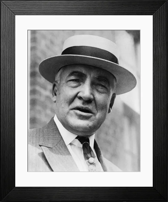 Framed Print : Warren G.Harding (1865-1923), 29th President of the United States. 1921-1923