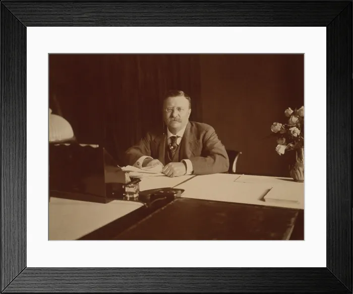 Framed Print : President Theodore Roosevelt (1858-1919), at his desk, 1907