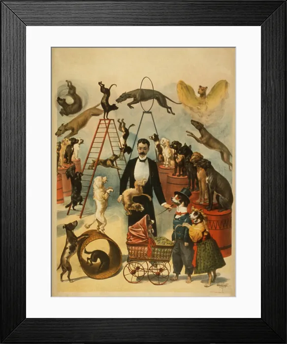 Framed Print : Poster for a trained dog act, probably one that performed in Vaudeville as an independent act. 1899 Framed Print : Poster for a trained dog act, probably one that performed in Vaudeville as an independent act. 1899