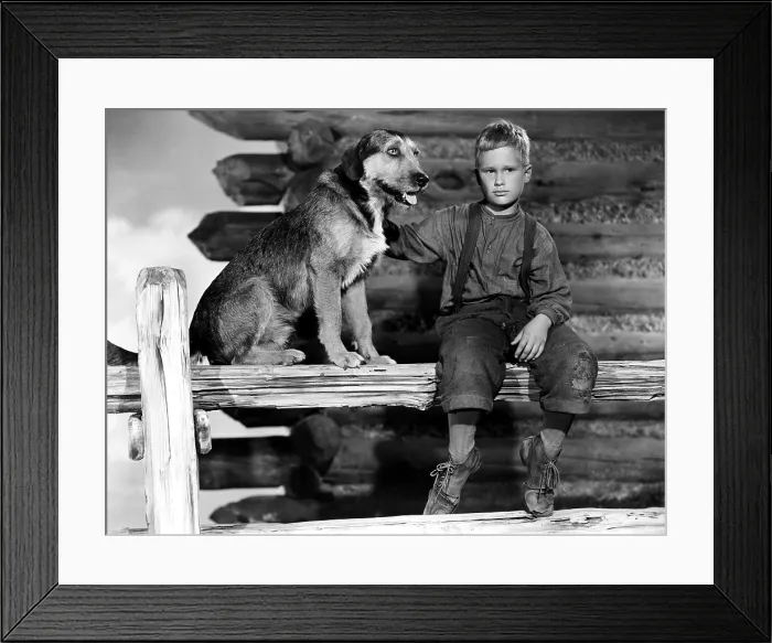 Framed Print : SHANE, Brandon de Wilde, 1953