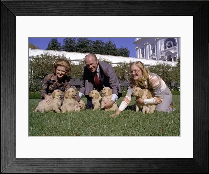 Framed Print : President Gerald Ford, wife Betty, and daughter Susan play with the new White House dogs, Liberty's golden retriever puppies, on the South Lawn of the White House Framed Print : President Gerald Ford, wife Betty, and daughter Susan play with the new White House dogs, Liberty's golden retriever puppies, on the South Lawn of the White House