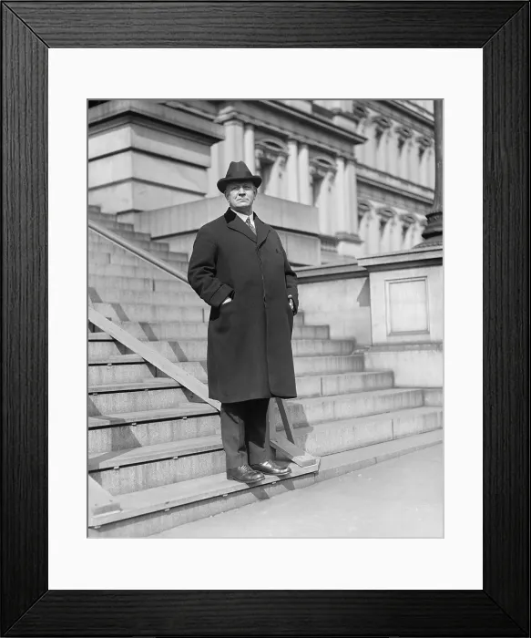 Framed Print : Edwin Denby (1870-1929), Secretary of the Navy on the steps of the Capitol