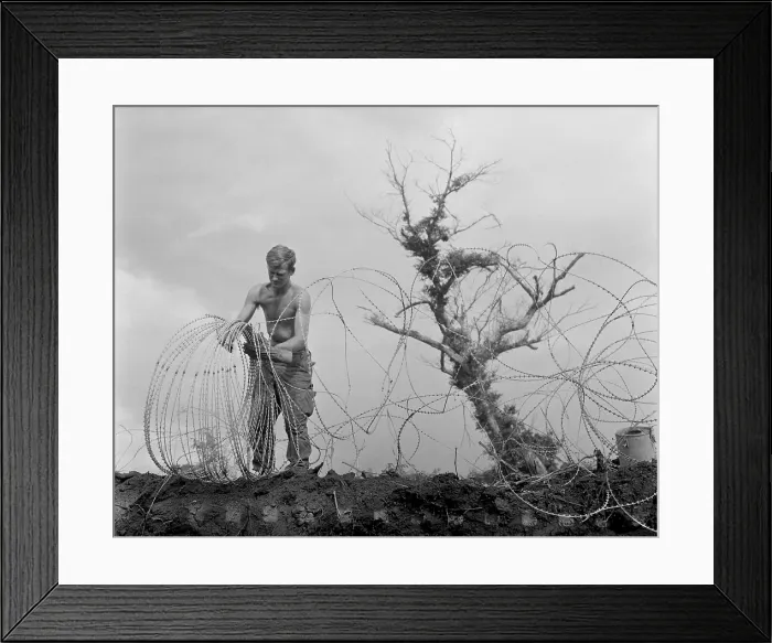 Framed Print : Vietnam War. A US Army infantryman takes down barbed tape surrounding the command post of Operation Utah Mesa