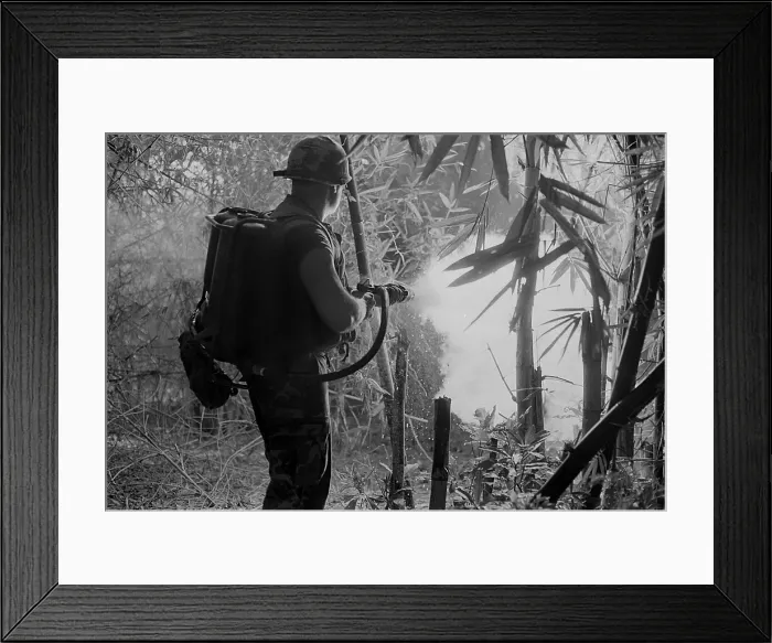 Framed Print : Vietnam War. US Soldier clears a jungle area with his flame thrower. May 22, 1970
