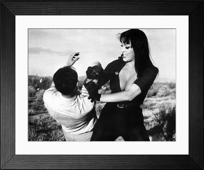 Framed Print : FASTER, PUSSYCAT! KILL! KILL!, Paul Trinka, Tura Satana, 1965 Framed Print : FASTER, PUSSYCAT! KILL! KILL!, Paul Trinka, Tura Satana, 1965