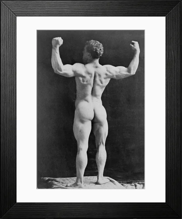 Framed Print : Eugen Sandow (1867-1925), German born strongman, in muscleman pose, standing, rear view, with fists raised. 1893