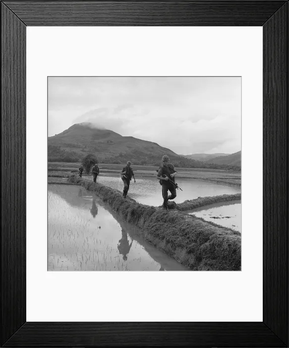 Framed Print : Vietnam War. US Marines move along rice paddy dikes in pursuit of the Viet Cong. Dec. 10, 1965